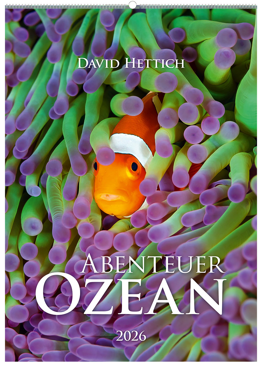kalender-ozean-2026-titel-900